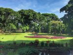 Kebun Raya Bogor - Taman Soedjana Kassan/Bhineka
