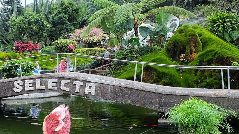 Taman wisata Selecta Malang - Jembatan