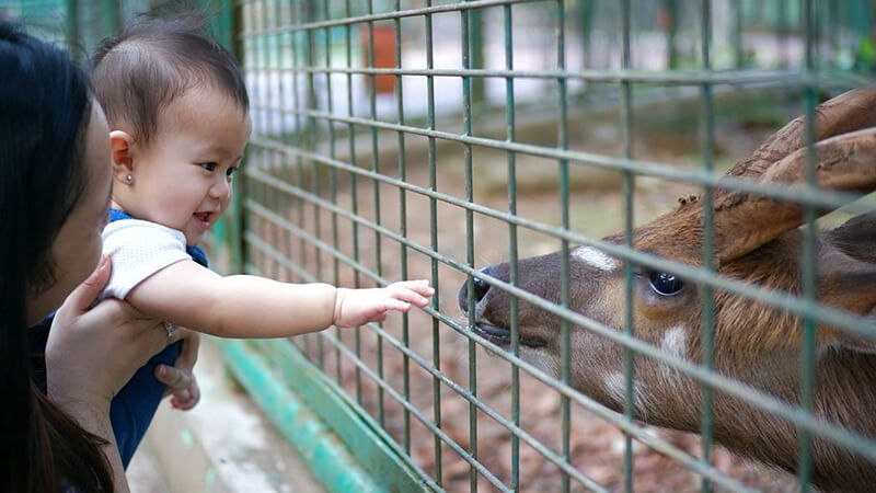 Kebun Binatang Ragunan Jakarta - Taman Satwa Anak
