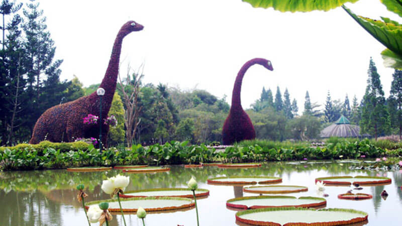 Tempat Wisata di Bogor dan Sekitarnya - Taman Air Taman Bunga Nusantara